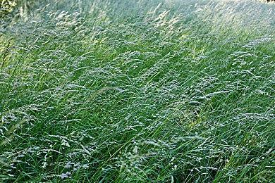 《GTA6》全力开发始于2020年 开发成本超10亿美元